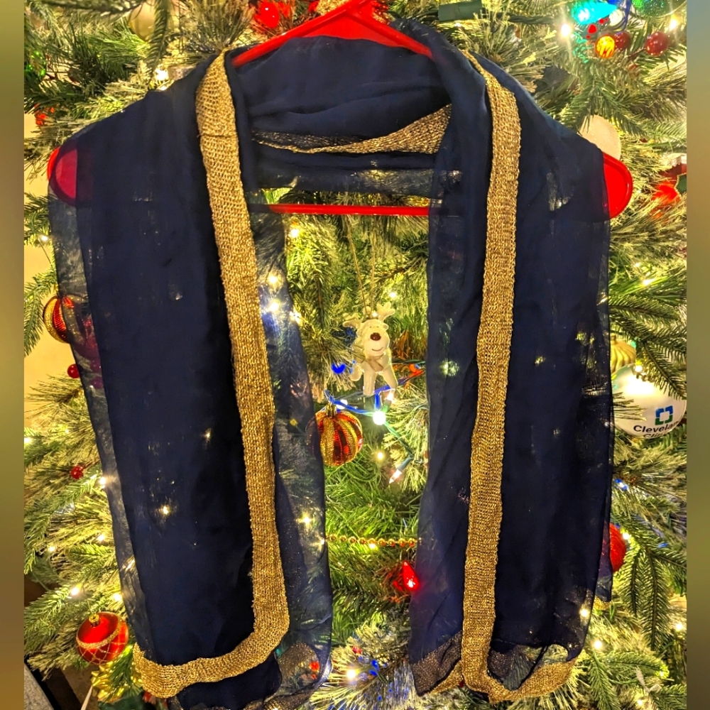 Charming Charlie Blue and Gold Wrap